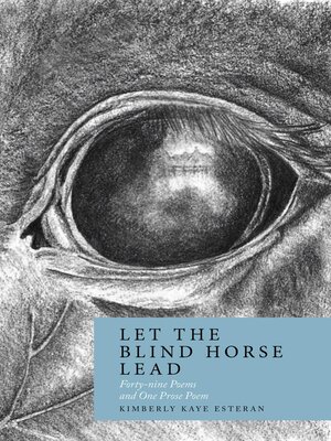 cover image of Let the Blind Horse Lead